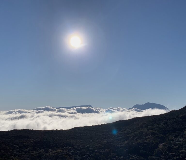 Que faire pendant un séjour à La Réunion