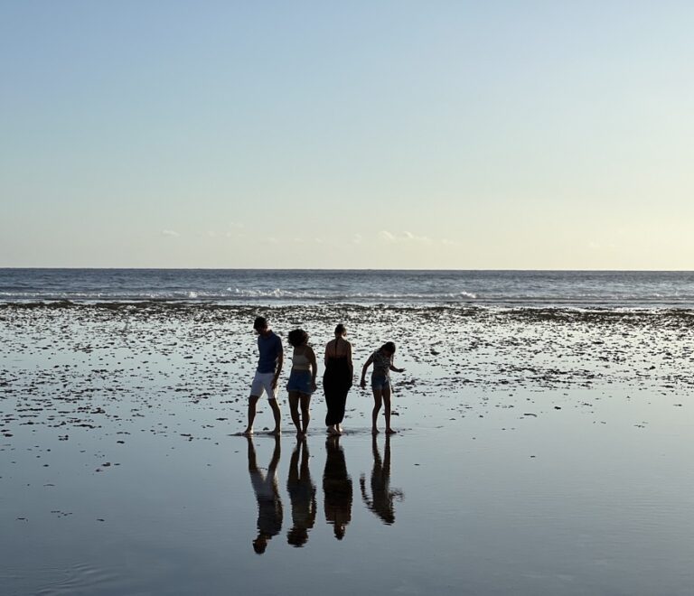 Séjour sud sauvage Réunion - que choisir ?