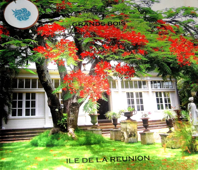 Avis sur une location de maison de vacances à La Réunion