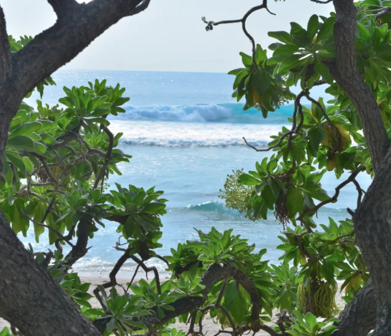 Nager au lagon en sécurité à La Réunion